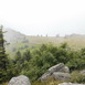 Der Große Arber ist mit 1456 Metern der höchste Berg des Bayrischen Waldes. - The Major Arber sizes 1456 meters an is the highest mountain of the Bavarian Forest; it's worth a journey in every weather!